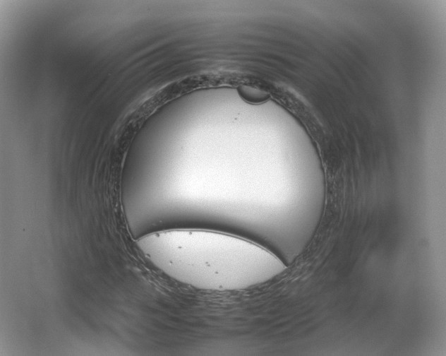 X0000066540919200603241407