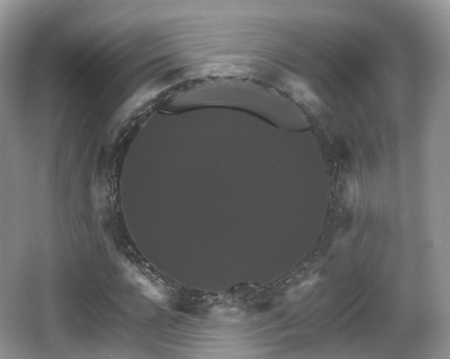 X0000066540920200603241407