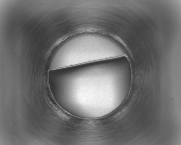 X0000066540922200603241407