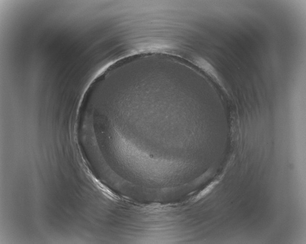 X0000066540924200603241407