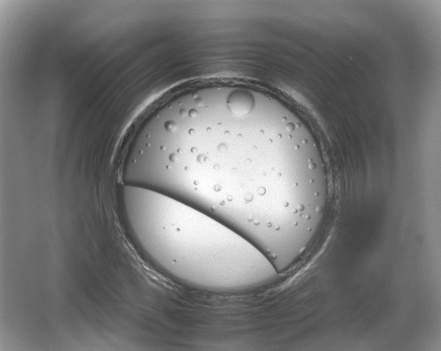 X0000066540925200603241407