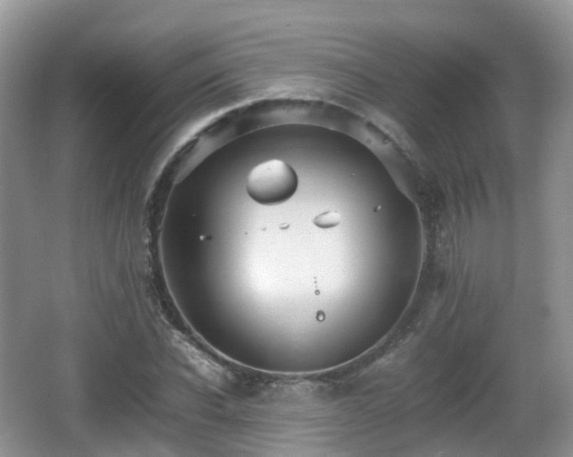 X0000066540926200603241407