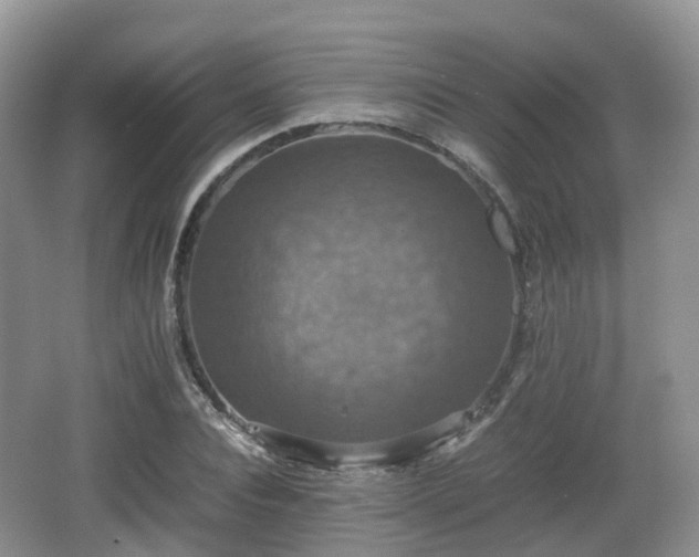 X0000066540928200603241407