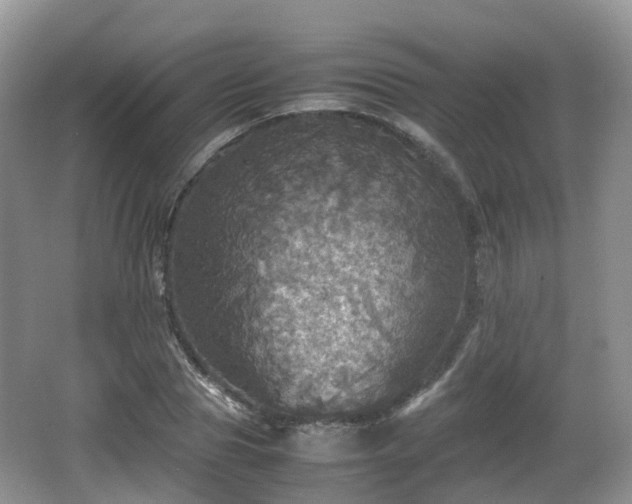 X0000066540929200603241407