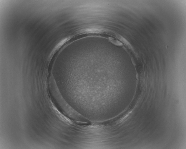 X0000066540930200603241407