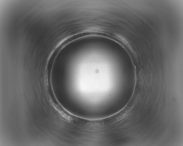 X0000066540931200603241407