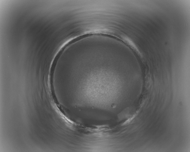 X0000066540932200603241407