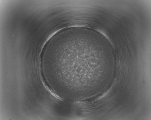 X0000066540933200603241407