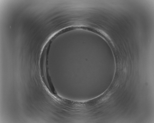 X0000066540935200603241407