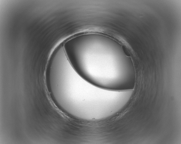 X0000066540936200603241407