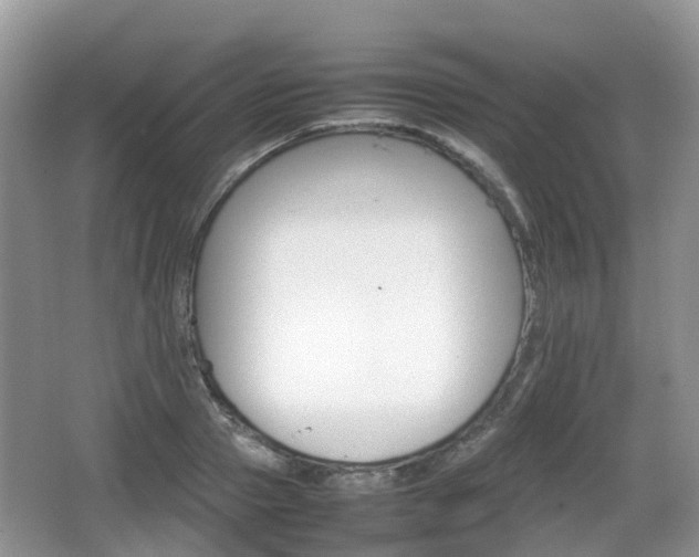 X0000066540937200603241407