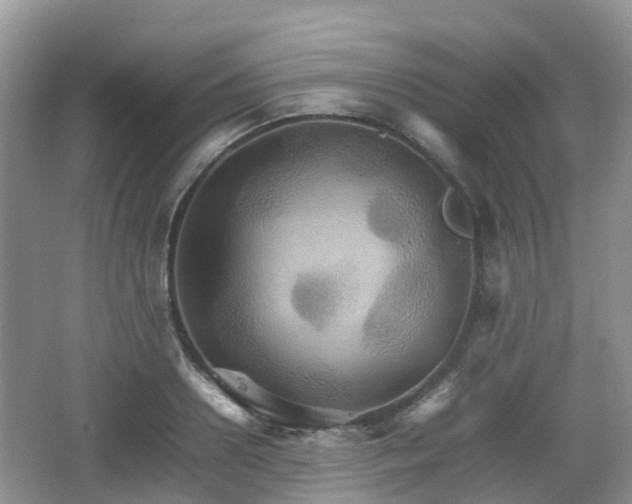 X0000066540938200603241407