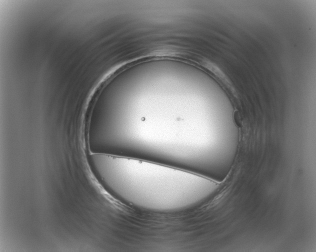 X0000066540939200603241407