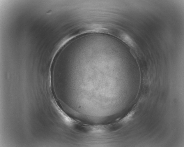 X0000066540940200603241407