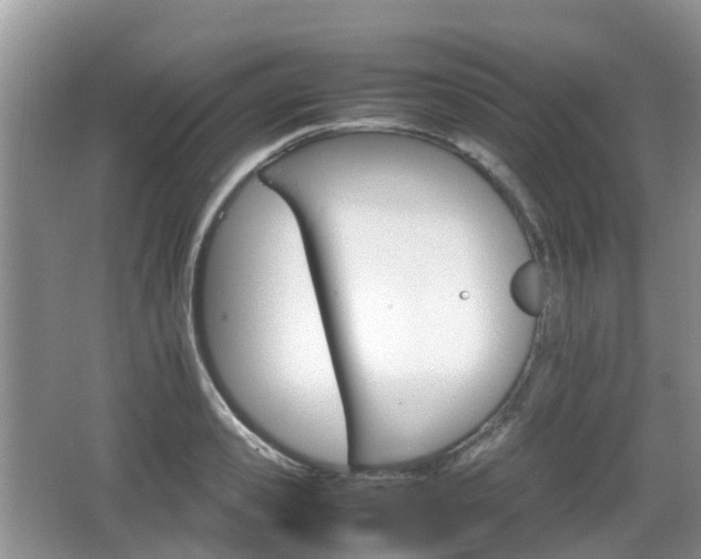 X0000066540941200603241407