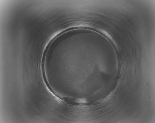 X0000066540943200603241407