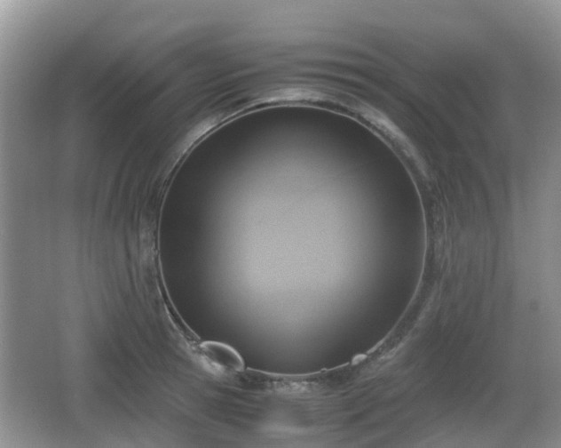 X0000066540945200603241407