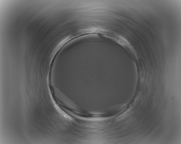 X0000066540946200603241407