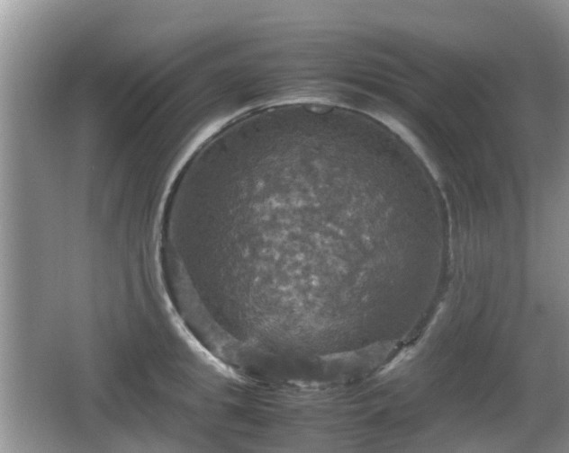 X0000066540949200603241408