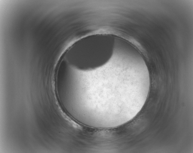 X0000066540950200603241408