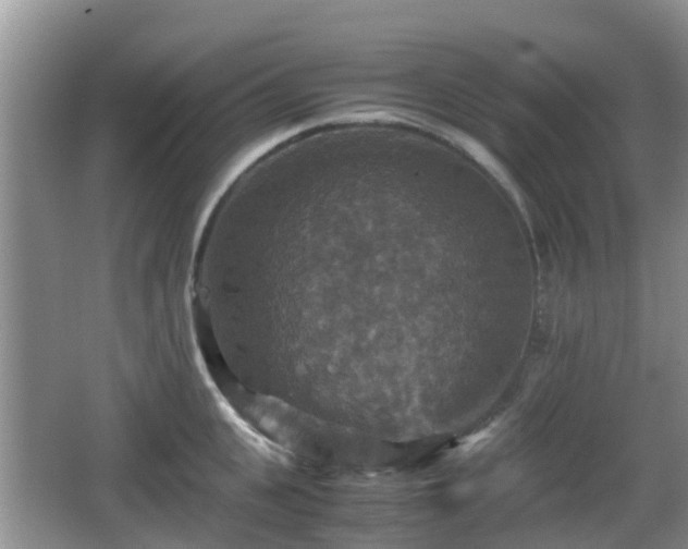 X0000066540951200603241408