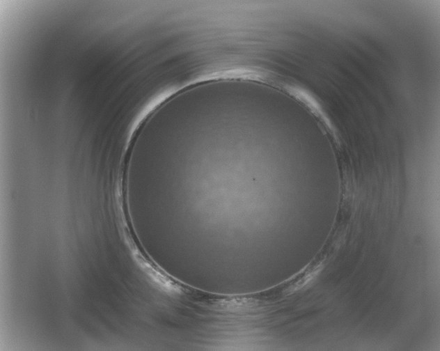 X0000066540952200603241408