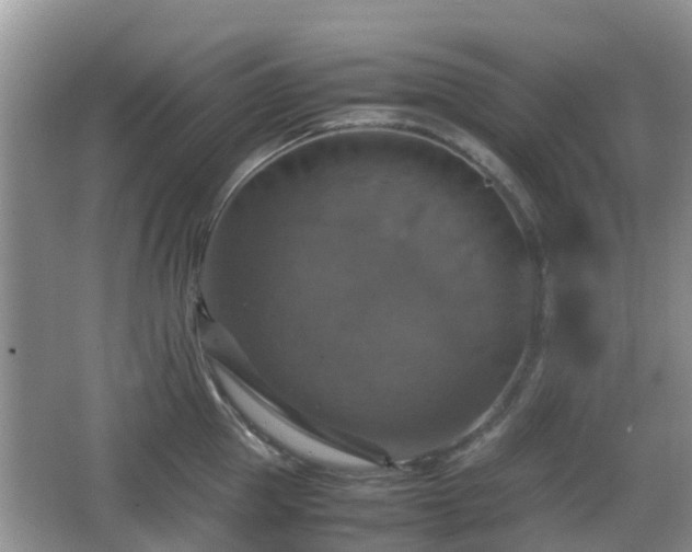 X0000066540953200603241408