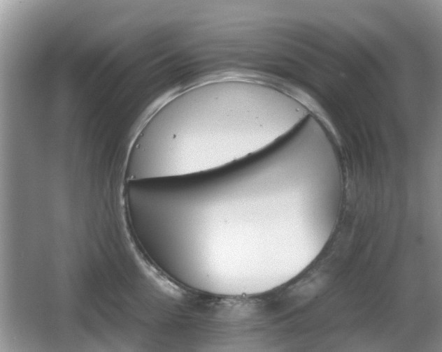 X0000066540954200603241408