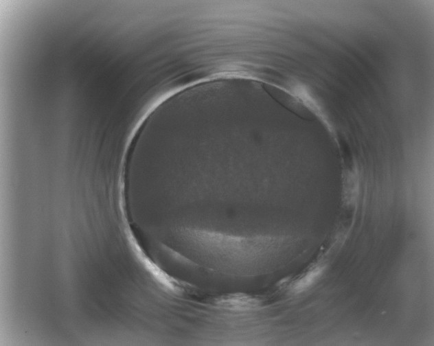 X0000066540955200603241408