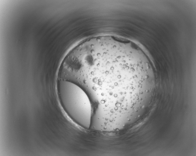 X0000066540957200603241408