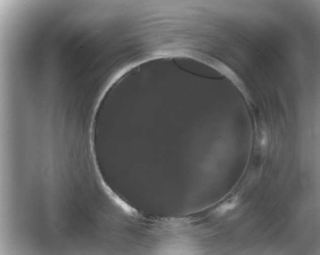 X0000066540958200603241408