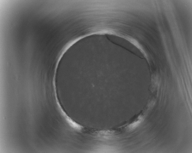 X0000066540959200603241408