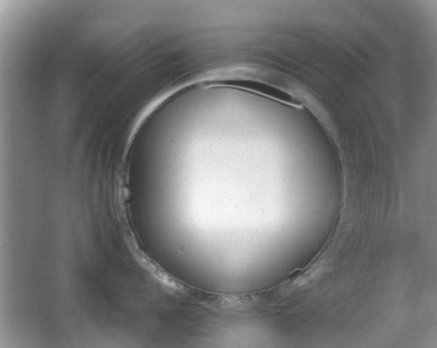 X0000066540960200603241408