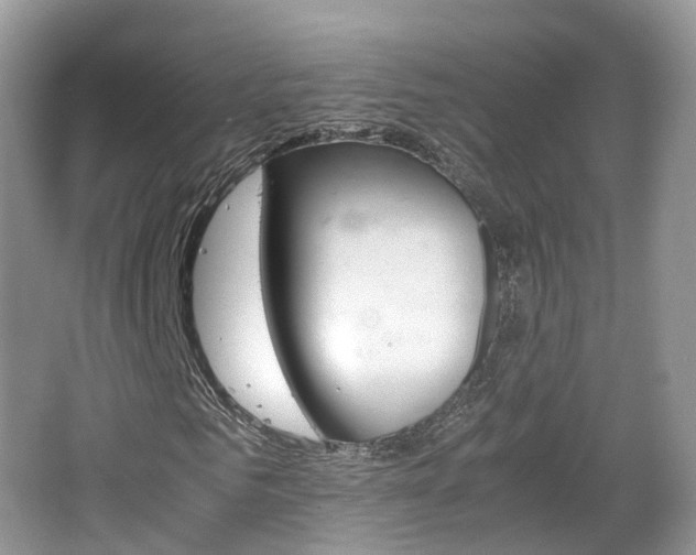 X0000066540961200603241407