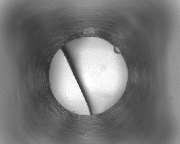 X0000066540962200603241407