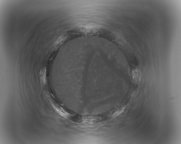 X0000066540963200603241407