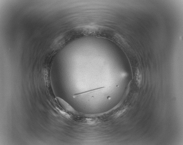 X0000066540964200603241407