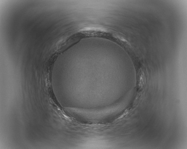 X0000066540965200603241407