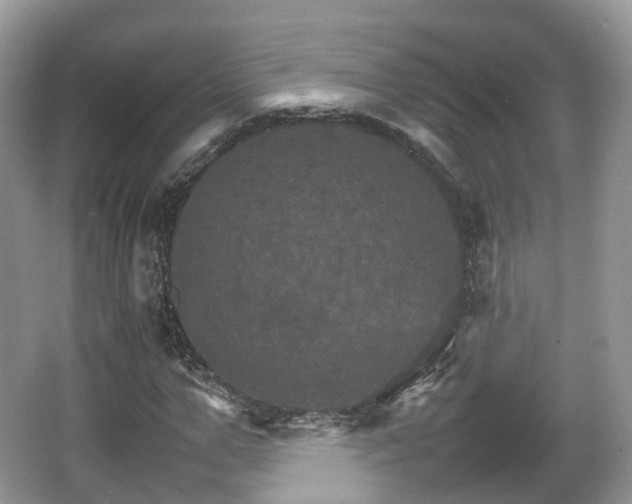 X0000066540967200603241407