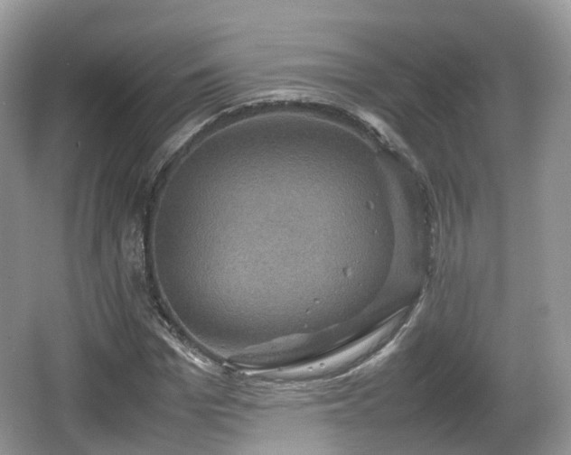 X0000066540969200603241407