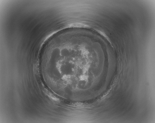 X0000066540971200603241407