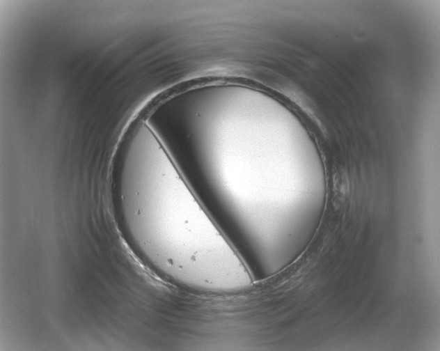 X0000066540972200603241407