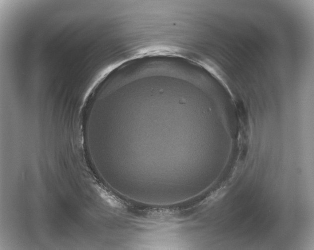 X0000066540973200603241407