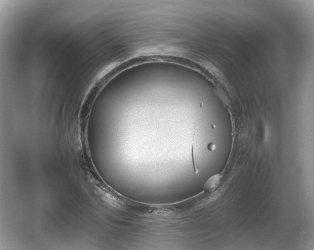 X0000066540974200603241407