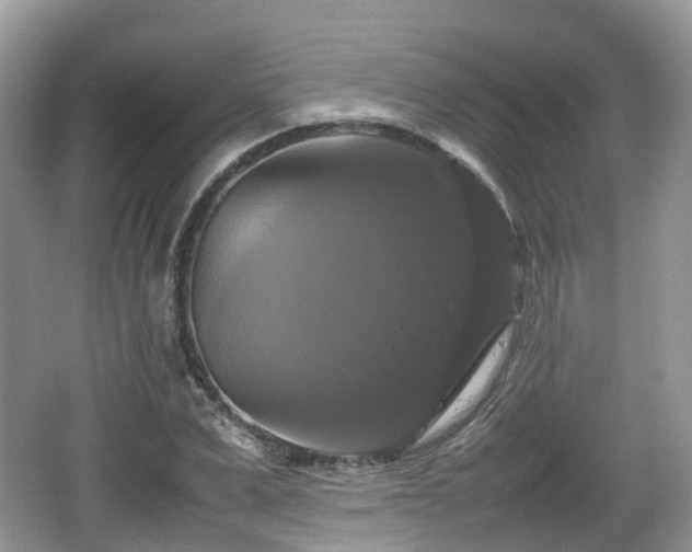 X0000066540975200603241407