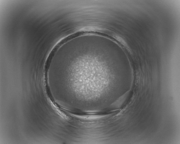 X0000066540976200603241407