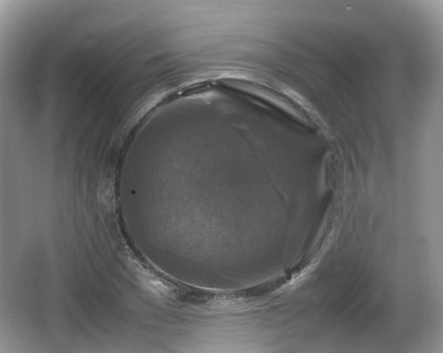 X0000066540977200603241407