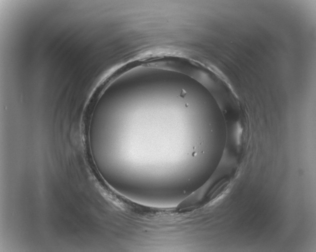 X0000066540981200603241407