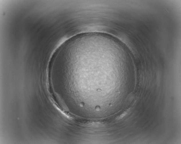 X0000066540982200603241407