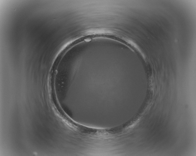 X0000066540983200603241407